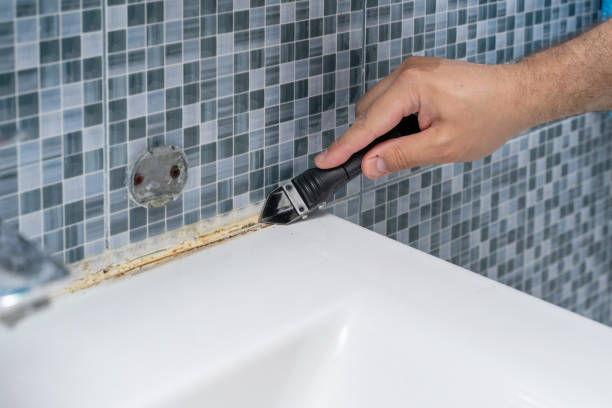 Best Black Mold Removal  in Bayard, NM